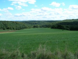 Weite grüne Landschaft in der Eifel